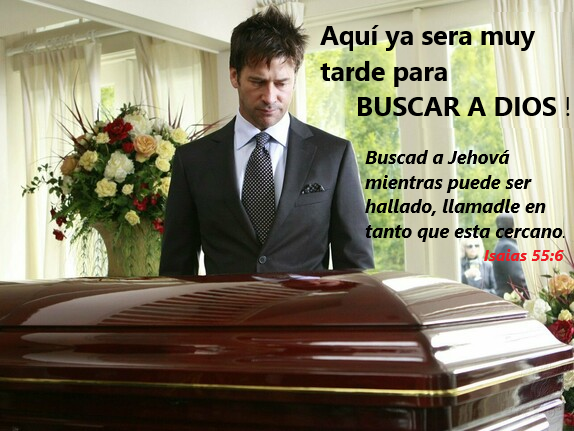 buscad elegido